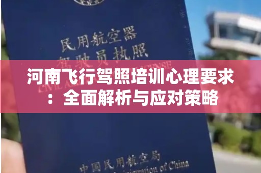 河南飞行驾照培训心理要求：全面解析与应对策略