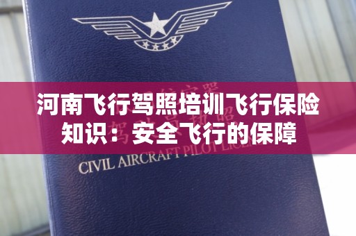 河南飞行驾照培训飞行保险知识：安全飞行的保障