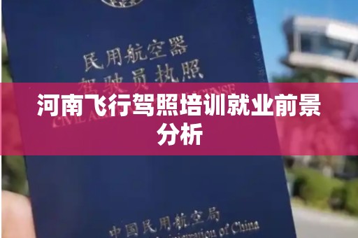 河南飞行驾照培训就业前景分析