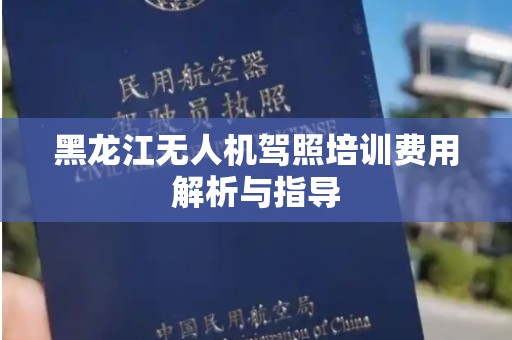 黑龙江无人机驾照培训费用解析与指导