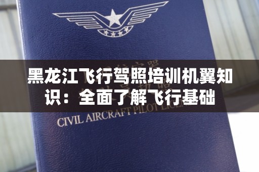 黑龙江飞行驾照培训机翼知识：全面了解飞行基础