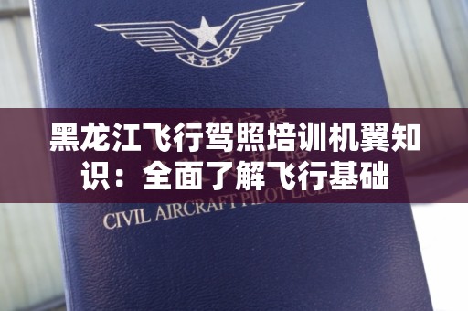 黑龙江飞行驾照培训机翼知识：全面了解飞行基础