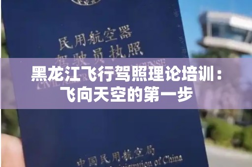 黑龙江飞行驾照理论培训：飞向天空的第一步