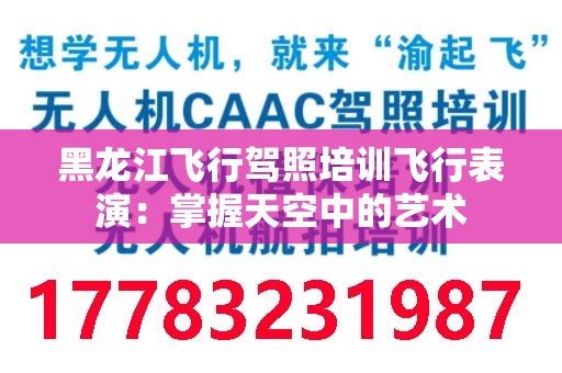 黑龙江飞行驾照培训飞行表演：掌握天空中的艺术
