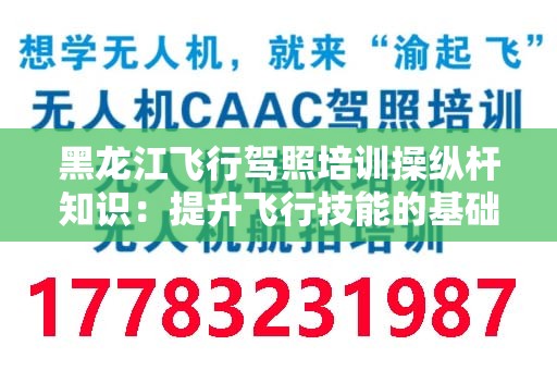 黑龙江飞行驾照培训操纵杆知识：提升飞行技能的基础