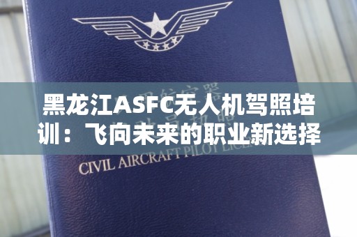 黑龙江ASFC无人机驾照培训：飞向未来的职业新选择