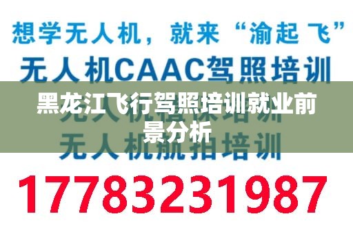 黑龙江飞行驾照培训就业前景分析