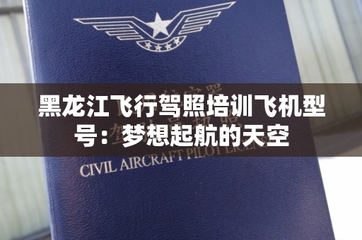 黑龙江飞行驾照培训飞机型号：梦想起航的天空