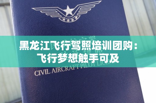 黑龙江飞行驾照培训团购：飞行梦想触手可及