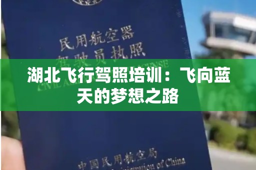 湖北飞行驾照培训：飞向蓝天的梦想之路