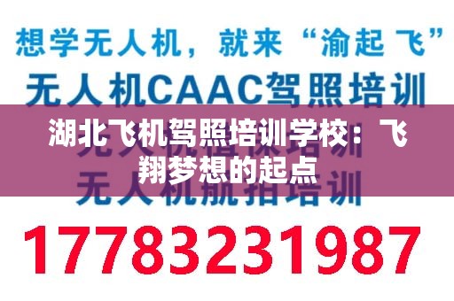 湖北飞机驾照培训学校：飞翔梦想的起点