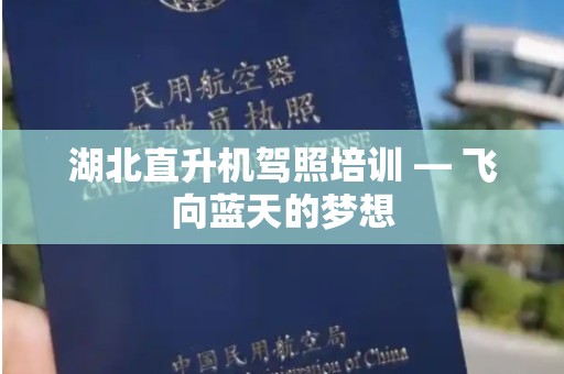 湖北直升机驾照培训 — 飞向蓝天的梦想