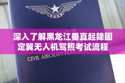 深入了解黑龙江垂直起降固定翼无人机驾照考试流程