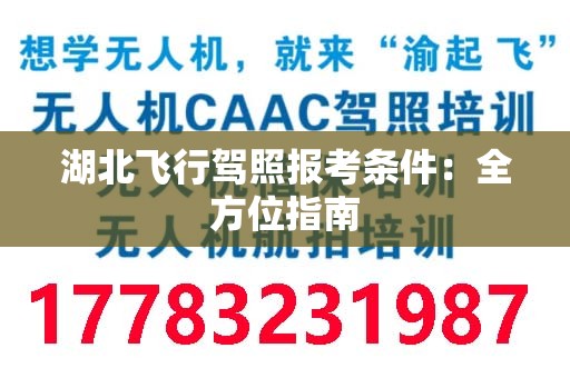 湖北飞行驾照报考条件：全方位指南