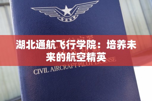 湖北通航飞行学院：培养未来的航空精英