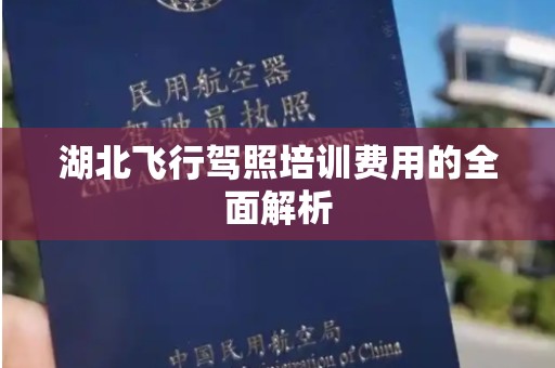 湖北飞行驾照培训费用的全面解析