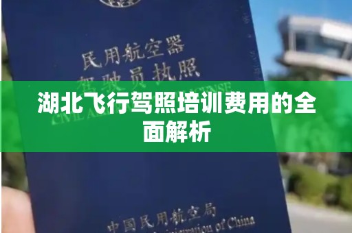 湖北飞行驾照培训费用的全面解析