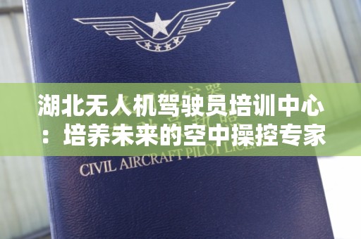 湖北无人机驾驶员培训中心：培养未来的空中操控专家