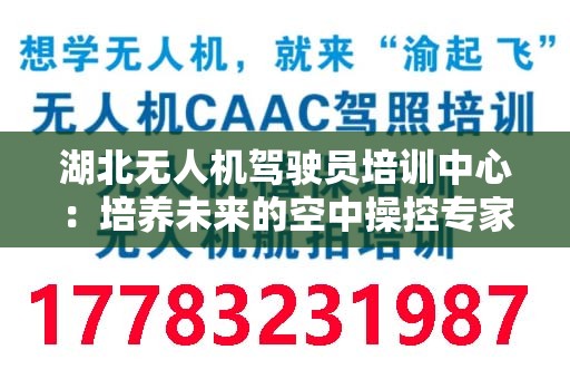 湖北无人机驾驶员培训中心：培养未来的空中操控专家