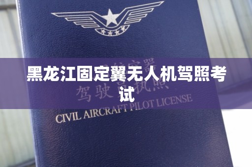 黑龙江固定翼无人机驾照考试