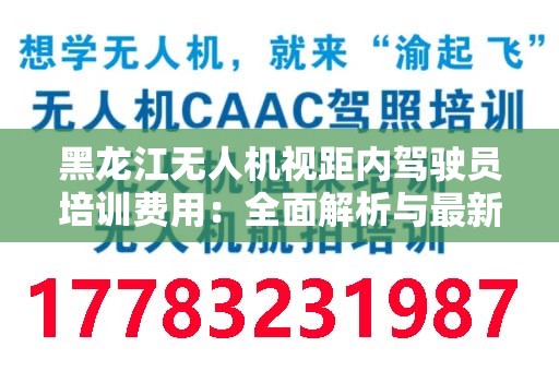 黑龙江无人机视距内驾驶员培训费用：全面解析与最新动态