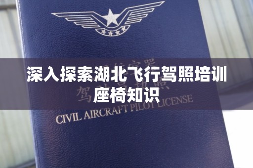 深入探索湖北飞行驾照培训座椅知识