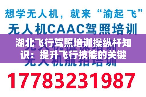湖北飞行驾照培训操纵杆知识：提升飞行技能的关键