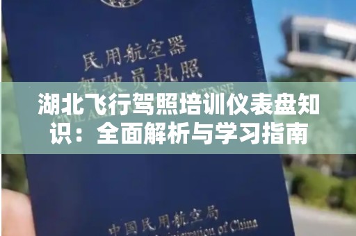 湖北飞行驾照培训仪表盘知识：全面解析与学习指南
