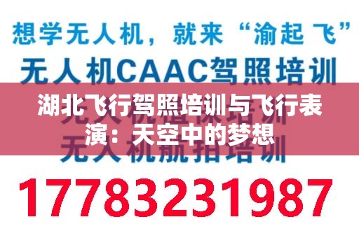 湖北飞行驾照培训与飞行表演：天空中的梦想