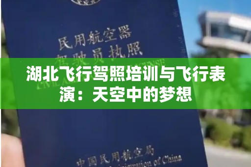 湖北飞行驾照培训与飞行表演：天空中的梦想