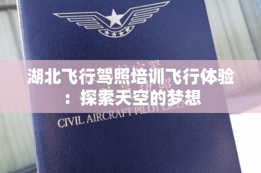湖北飞行驾照培训飞行体验：探索天空的梦想
