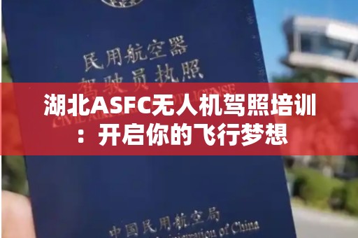 湖北ASFC无人机驾照培训：开启你的飞行梦想