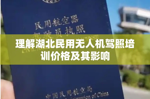 理解湖北民用无人机驾照培训价格及其影响
