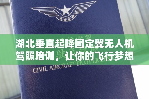 湖北垂直起降固定翼无人机驾照培训，让你的飞行梦想起航！