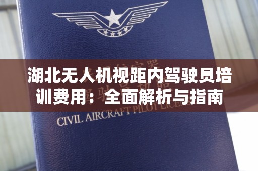 湖北无人机视距内驾驶员培训费用：全面解析与指南