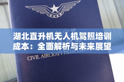 湖北直升机无人机驾照培训成本：全面解析与未来展望