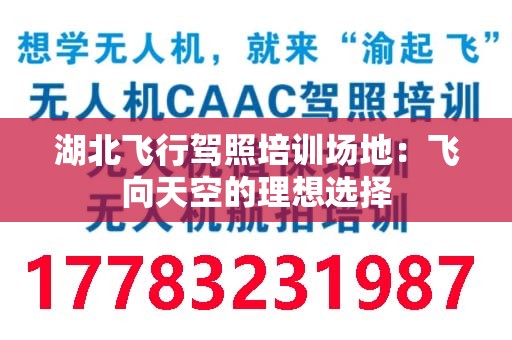 湖北飞行驾照培训场地：飞向天空的理想选择