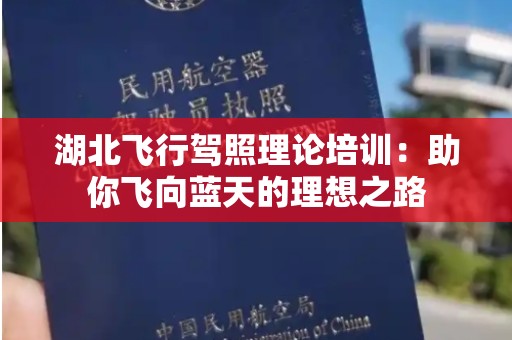 湖北飞行驾照理论培训：助你飞向蓝天的理想之路