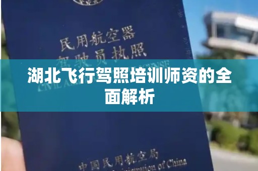 湖北飞行驾照培训师资的全面解析