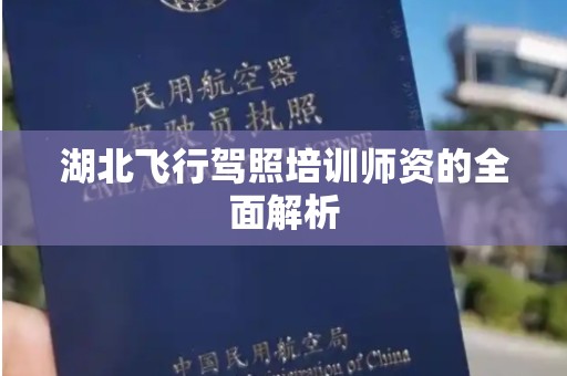 湖北飞行驾照培训师资的全面解析