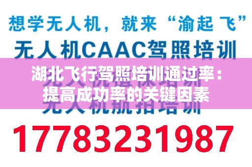 湖北飞行驾照培训通过率：提高成功率的关键因素