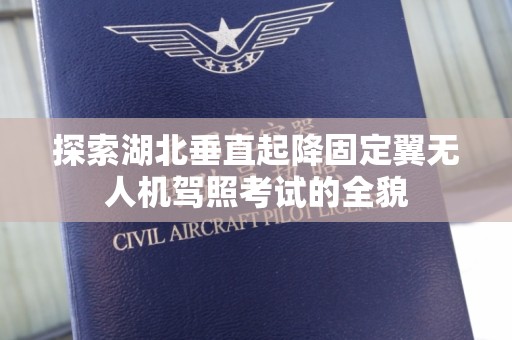 探索湖北垂直起降固定翼无人机驾照考试的全貌