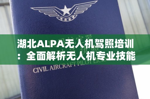 湖北ALPA无人机驾照培训：全面解析无人机专业技能提升之路