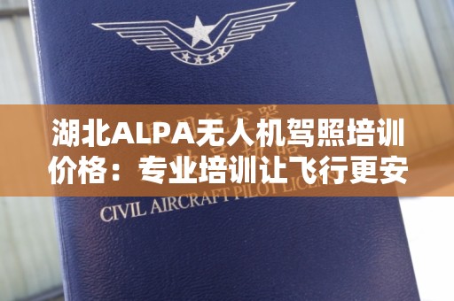 湖北ALPA无人机驾照培训价格：专业培训让飞行更安全