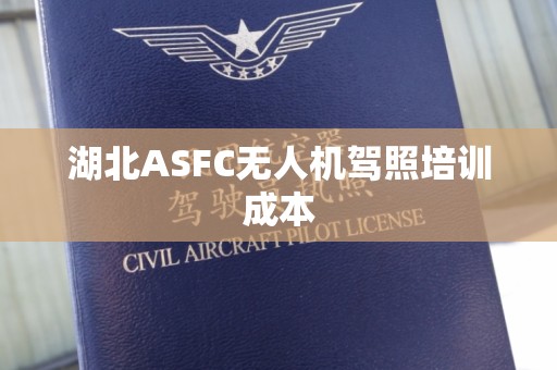 湖北ASFC无人机驾照培训成本
