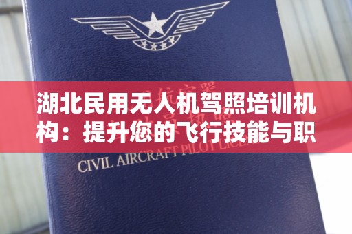 湖北民用无人机驾照培训机构：提升您的飞行技能与职业前景