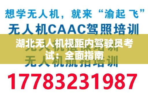 湖北无人机视距内驾驶员考试：全面指南