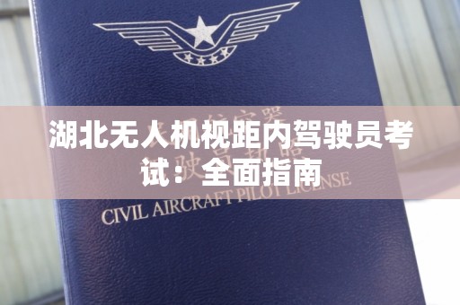 湖北无人机视距内驾驶员考试：全面指南