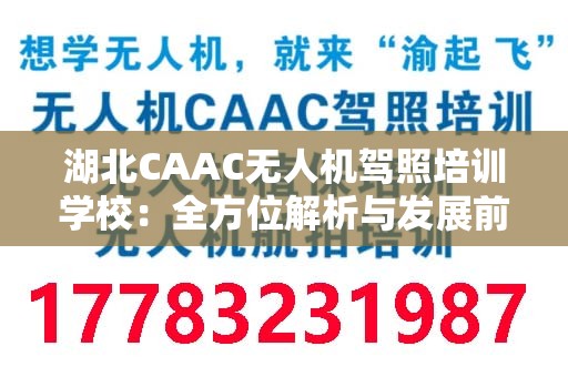湖北CAAC无人机驾照培训学校：全方位解析与发展前景
