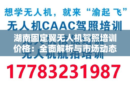 湖南固定翼无人机驾照培训价格：全面解析与市场动态